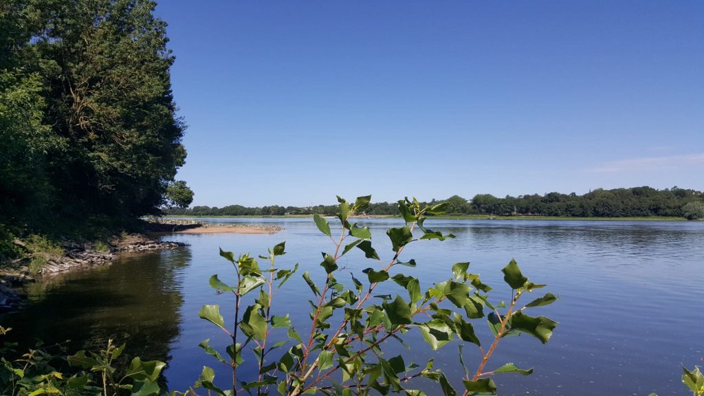 bord de loire