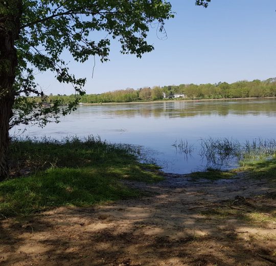 bord de loire