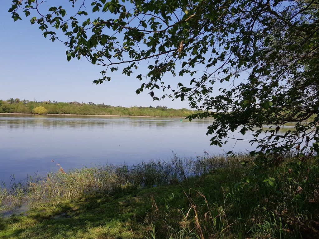 la loire